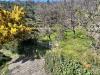 Casa indipendente in vendita con giardino a San Bartolomeo al Mare - 10, Foto 10
