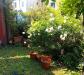 Appartamento in vendita con giardino a Abano Terme - 03
