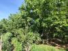 Terreno Agricolo in vendita a Pomigliano d'Arco in via masseria macedonia - 10, Foto 10