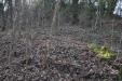 Terreno in vendita a Impruneta - 07