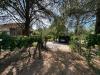 Casa indipendente in vendita con giardino a Castelnuovo Berardenga - ponte a bozzone - 03