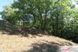 Villa in vendita con giardino a Negrar in via nogare montecchio - 10, Foto 10