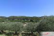 Terreno Agricolo in vendita a Verona in strada del borago - 09, Foto 9