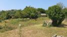Terreno Edificabile in vendita a Ladispoli in via procoio di ceri - 02, Foto 2