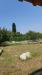 Terreno Edificabile in vendita a Ladispoli in via procoio di ceri - 03, Foto 3