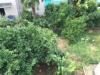 Appartamento in vendita a Vasto in largo cristina rossetti 2 - 02, Foto 2