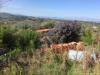 Casa indipendente in vendita con giardino a Vasto in contrada san lorenzo - 02, Foto 2