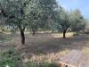 Terreno Edificabile in vendita a Vasto in c.da incoronata - 02, Foto 2