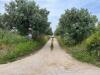 Terreno Agricolo in vendita a Vasto in via san rocco - 02, Foto 2