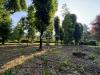 Terreno Edificabile in vendita a Carimate in strada privata del faggio - 10, Foto 10