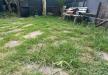 Appartamento in vendita con giardino a Empoli - 03