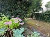 Appartamento in vendita con giardino a Vinci - sovigliana - 04