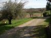 Terreno Agricolo in vendita a Cerreto Guidi - lazzeretto - 06