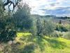 Terreno Agricolo in vendita a Empoli - martignana - 02