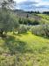 Terreno Agricolo in vendita a Empoli - martignana - 05