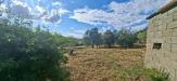 Terreno Edificabile in vendita a Capannoli - san pietro in belvedere - 02