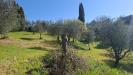 Terreno Agricolo in vendita a Peccioli - legoli - 04