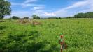 Terreno Agricolo in vendita a Capannoli - 03