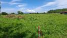 Terreno Agricolo in vendita a Capannoli - 05