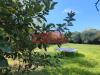 Villa in affitto arredato a Livorno - le padule - 05