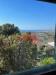 Villa in vendita con giardino a Livorno - montenero alto - 05