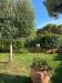 Villa in vendita con giardino a Livorno - montenero alto - 04