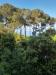 Appartamento in vendita a Livorno - montenero alto - 02