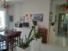 Appartamento in vendita a Livorno - antignano - 05