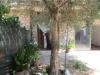 Casa indipendente in vendita con giardino a Bientina - 02