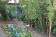 Casa indipendente in vendita con giardino a Ponsacco - 03