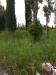 Terreno Edificabile in vendita a Santa Croce sull'Arno - 02