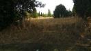 Terreno Edificabile in vendita a Santa Croce sull'Arno - 04