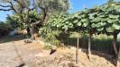 Casa indipendente in vendita con giardino a San Giuliano Terme - pontasserchio - 02