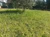 Appartamento in vendita con giardino a Cerreto Guidi - lazzeretto - 02