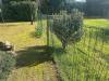 Appartamento in vendita con giardino a Cerreto Guidi - lazzeretto - 05