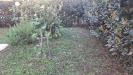 Villa in vendita con giardino a Vecchiano - nodica - 05
