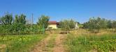 Terreno Agricolo in vendita a Cascina - marciana - 03