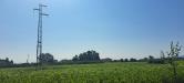 Terreno Agricolo in vendita a Cascina - marciana - 05