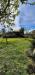 Casa indipendente in vendita con giardino a Cascina - san prospero navacchio - 02