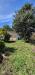 Casa indipendente in vendita con giardino a Cascina - san prospero navacchio - 03