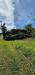 Casa indipendente in vendita con giardino a Cascina - san prospero navacchio - 05