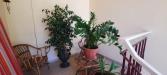 Appartamento in vendita con terrazzo a Montopoli in Val d'Arno - san romano - 02