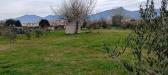 Terreno Agricolo in affitto a Cascina - san giorgio - 05