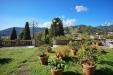 Casa indipendente in vendita con giardino a Carrara - centro - 05