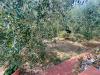 Casa indipendente in vendita con giardino a Montopoli in Val d'Arno - capanne - 06