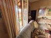 Villa in vendita con giardino a Montelupo Fiorentino - fibbiana - 04