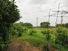 Terreno Agricolo in vendita a Livorno - porta a terra - 05