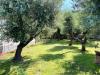 Casa indipendente in vendita con giardino a Massa - centro - 02