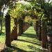Villa in vendita con giardino a Calci - rezzano - 06