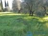 Terreno Edificabile in vendita a Lamporecchio - 04